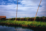 Inle_lake01_027a