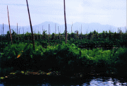 Inle_lake01_032a