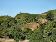 mrauk_oo_pagodas_1841