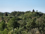 mrauk_oo_pagodas_1811