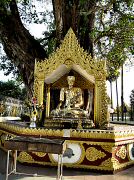 yangon_0443