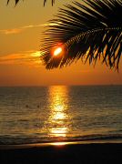 ngapali_sunset04_1039