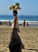 oxcart_race2012_1010