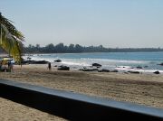 oxcart_race2012_1037