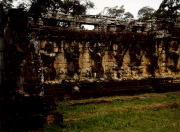 Elephant Terrace 00b