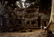 Ta Prohm 16a
