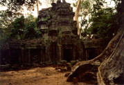 Ta Prohm 6a