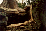 Ta Prohm 8a