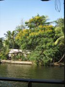 alappuzha_1551