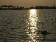 alappuzha_1558