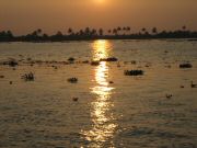 alappuzha_1565