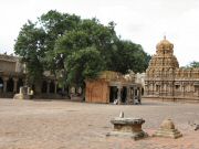 thanjavur_1485